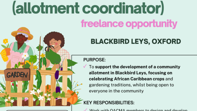 Job-Vacancy-Instagram-Post-1